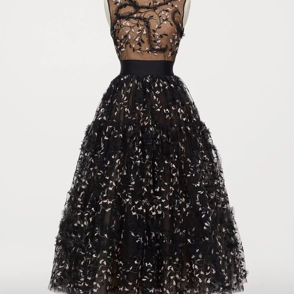 Giambattista Valli x HM ball gown - Picture 2 of 11